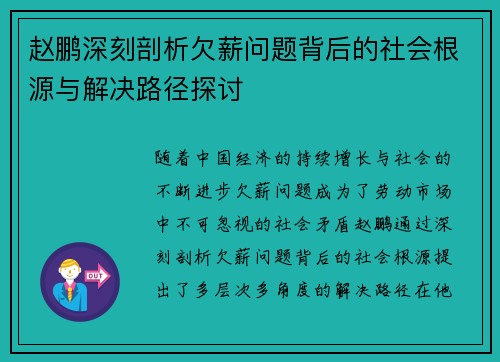 赵鹏深刻剖析欠薪问题背后的社会根源与解决路径探讨