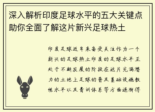 深入解析印度足球水平的五大关键点助你全面了解这片新兴足球热土