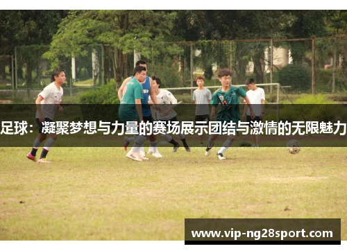 足球：凝聚梦想与力量的赛场展示团结与激情的无限魅力